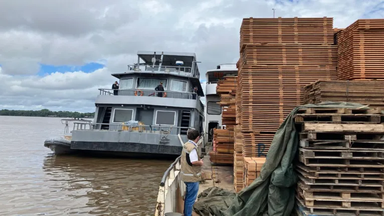 Operação apreende 10 embarcações com madeira ilegal no Pará