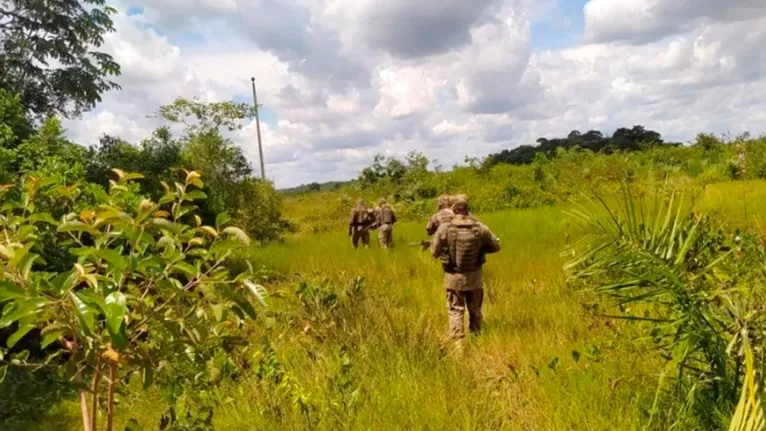 Informações dão conta de que parte do bando estaria escondida entre Santa Maria das Barreiras (PA) e Araguacema (TO).