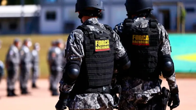 Entre as medidas sugeridas estão o aumento do efetivo da Força Nacional de Segurança Pública na região de Novo Repartimento