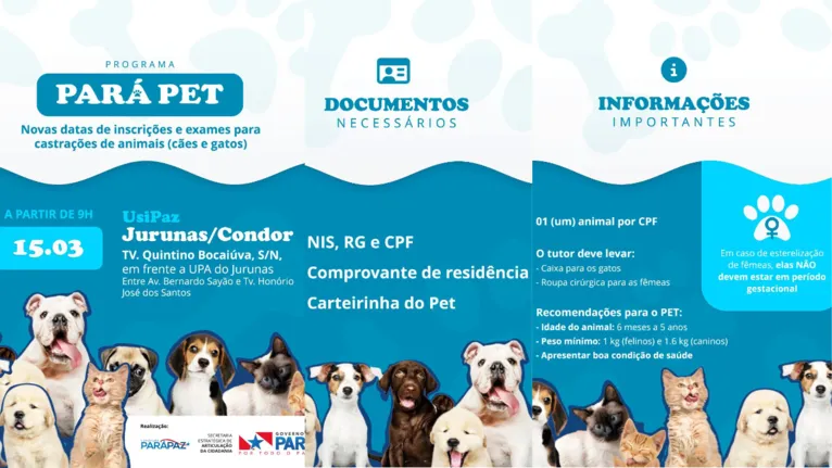 Veja detalhes sobre o cadastro e procedimentos para castração gratuita de animais