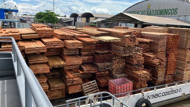 Operação apreende 10 embarcações com madeira ilegal no Pará