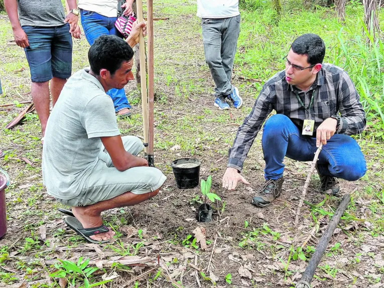 Sustentabilidade: comunidades transformadas na Amazônia