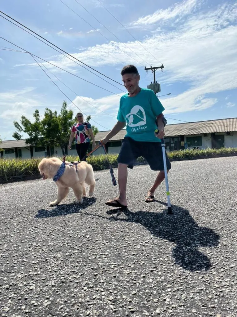 A participação da dupla cão-tutor é voluntária. Atividades serão realizadas por um ano