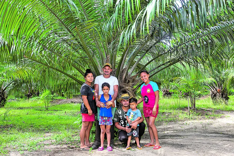 Comunidades são envolvidas na produção da palma