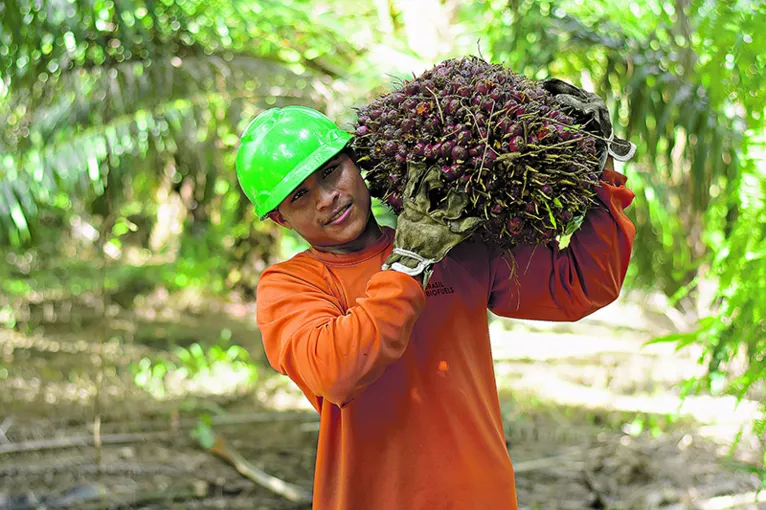 Grupo BBF gera mais de 5 mil empregos no estado do Pará