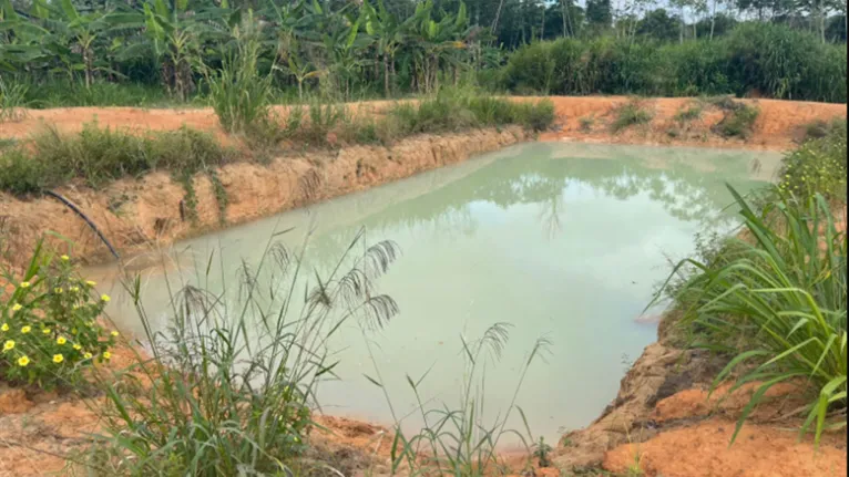 Mais de mil hectares de lâmina d'água dedicadas à piscicultura em Paragominas.