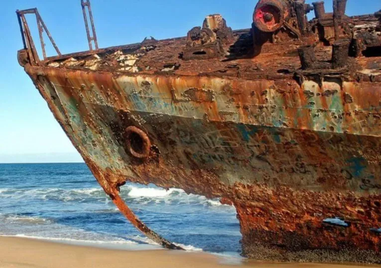 As cracas podem causar danos aos cascos dos navios e resultar em grandes problemas.