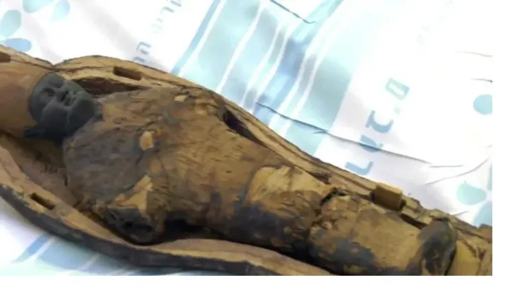 Tomografias revelaram que uma das múmias era, na verdade, um objeto feito de argila e grãos; já a outra era o cadáver de uma ave