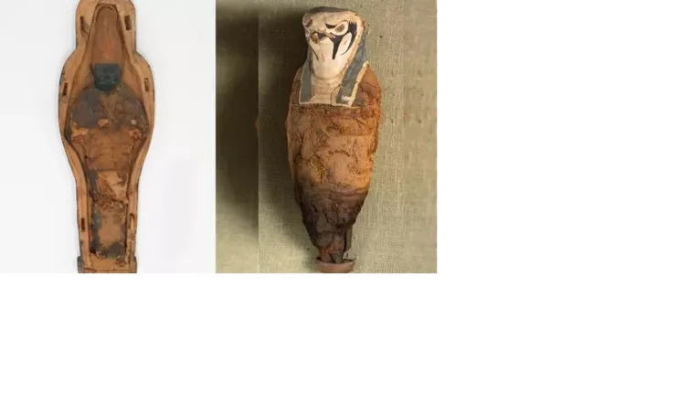 Artefato de Osíris e múmia em homenagem a Hórus: nenhum dos sarcófagos do museu continha restos humanos