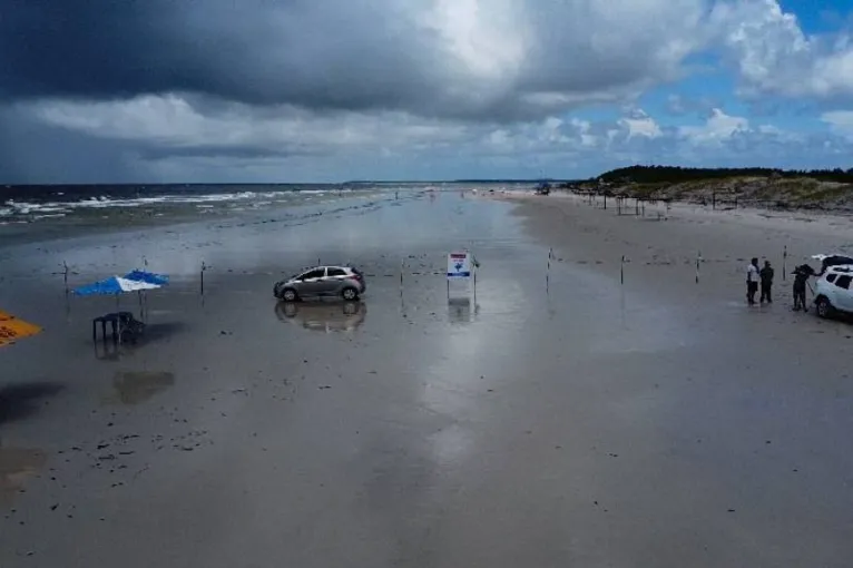 Praia do Atalaia, na costa atlântica do Pará, é local de desova de cinco espécies de tartaruga marinha