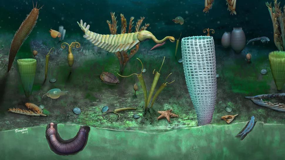 3D reconstruction of fossils from Castle Bank, UK.