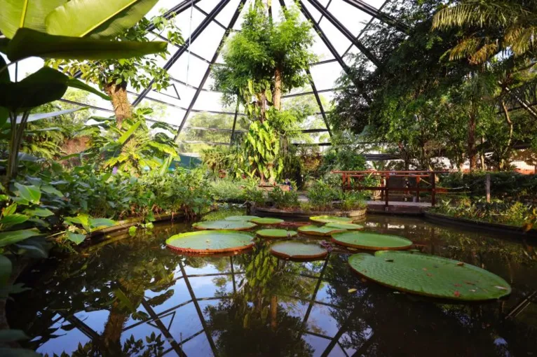 Parque Zoobotânico Mangal das Garças, em Belém