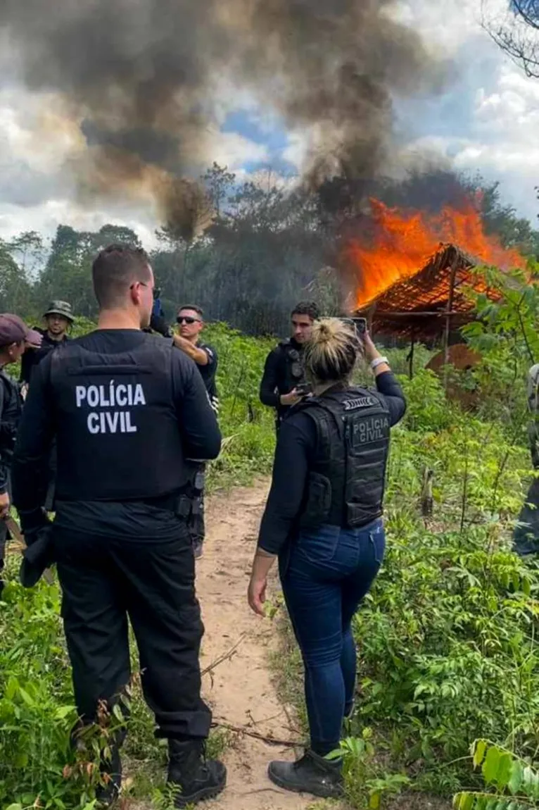 A plantação de maconha foi queimada pelos agentes de segurança.