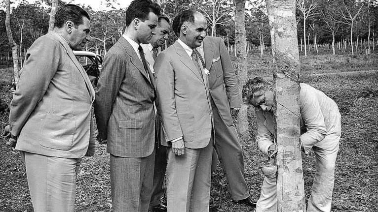 Há 50 anos, a ciência dá o norte ao campo 