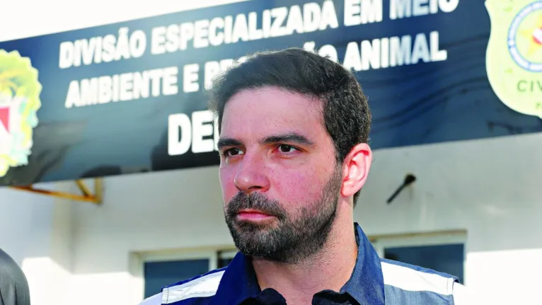 Operação salva cadela retirada pelo teto de uma casa