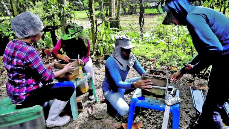 O papel fundamental das abelhas para o meio ambiente