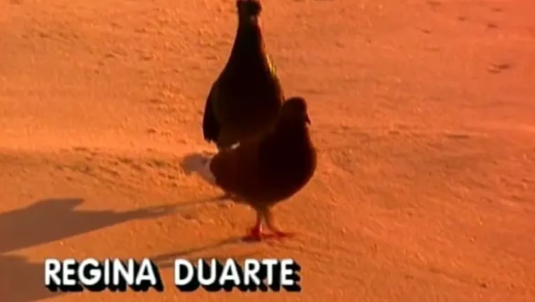 Regina Duarte como pomba vira meme nas redes sociais