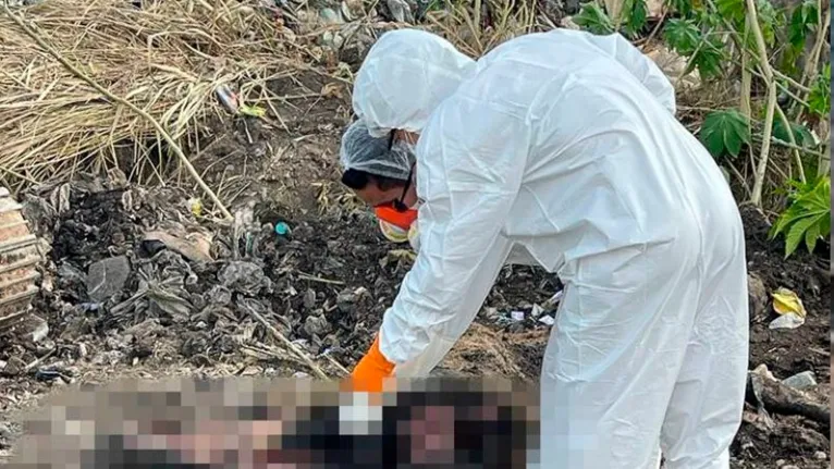 O trabalho da perícia envolveu, inicialmente, a exumação do corpo do animal para exame de necropsia forense