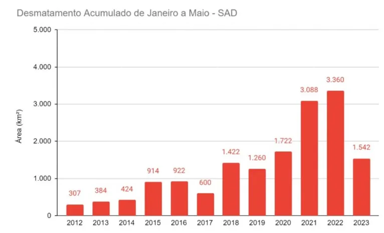 Desmatamento na Amazônia cai 54% de janeiro a maio