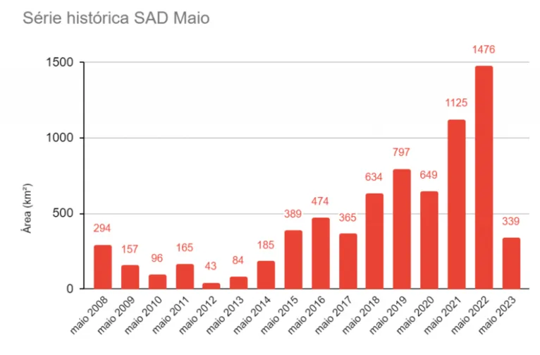 Desmatamento na Amazônia cai 54% de janeiro a maio