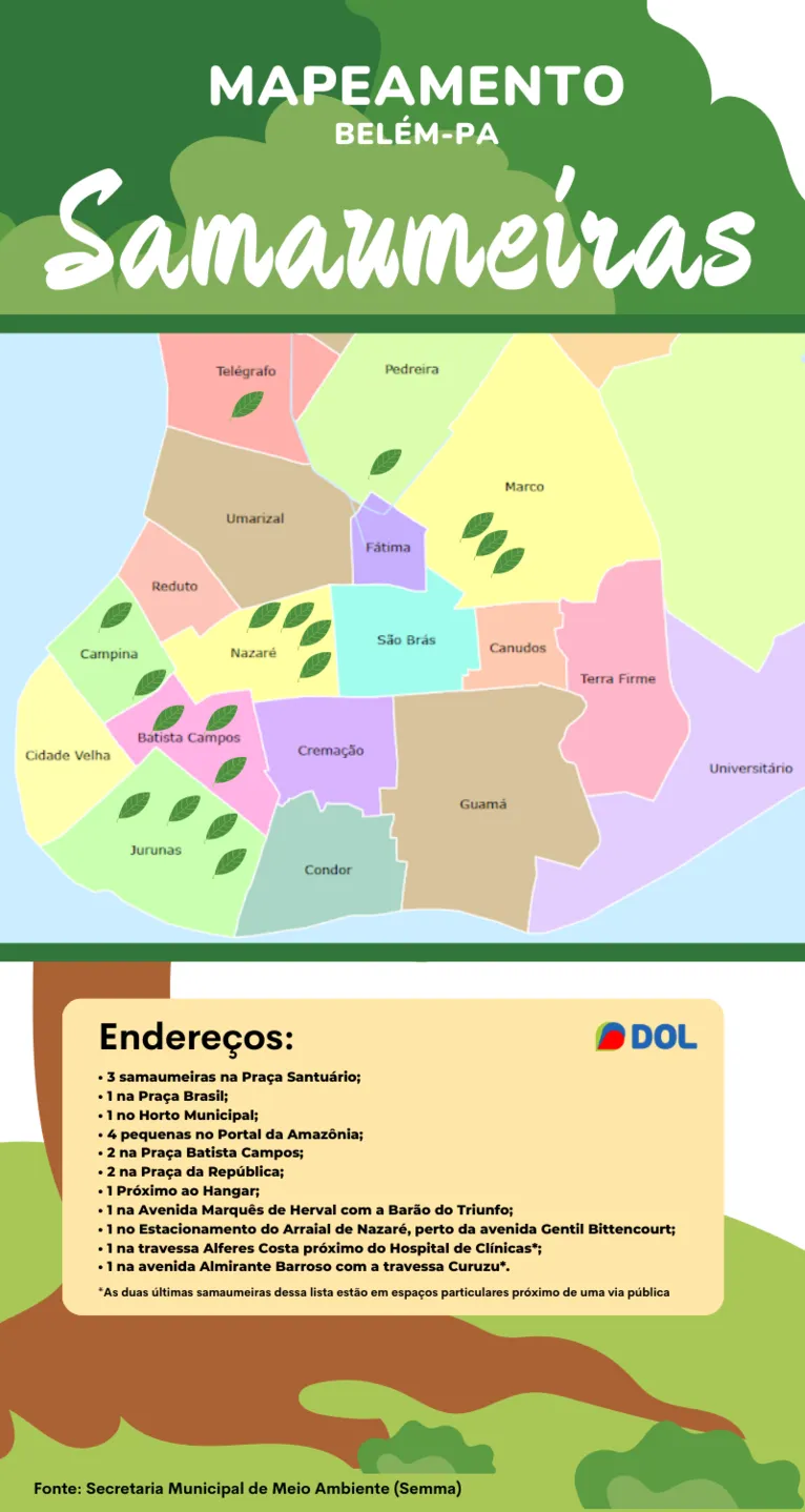Infografia localiza todas as 18 samaumeiras em Belém. O mapeamento foi feito pela Semma.