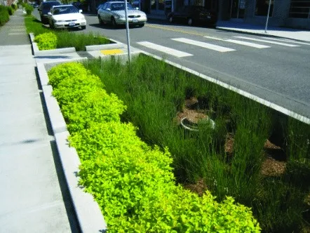 Biovaletas ou jardins de chuva serão implementados nos logradouros de Belém