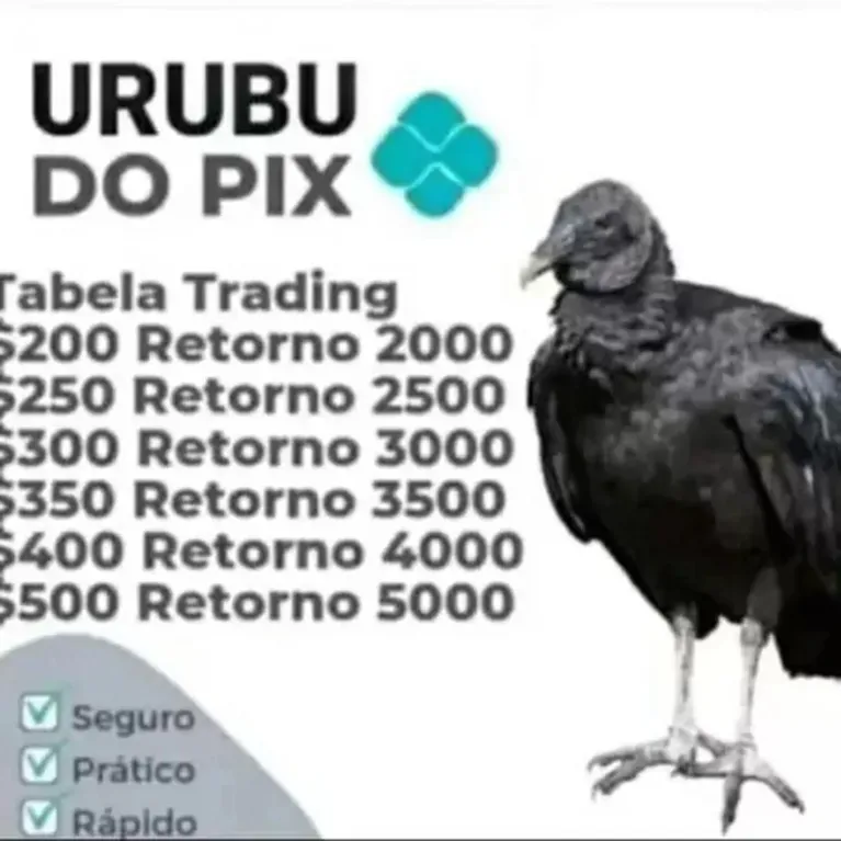 Urubu do Pix? Saiba o que é e como se proteger do golpe 