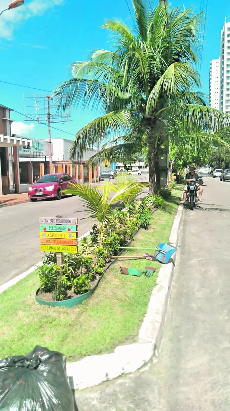 Mobilização ajuda a levar mais cor e carinho à rua