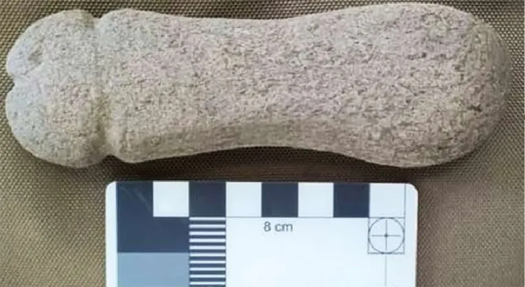 Foi a cooperativa de pesquisadores Árbore Arqueoloxía que encontrou o "brinquedo sexual" de 15 centímetros, no dia 19 de maio, na Torre de Meira.