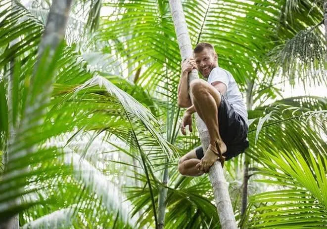 Rodrigo Hilbert apanhando açaí