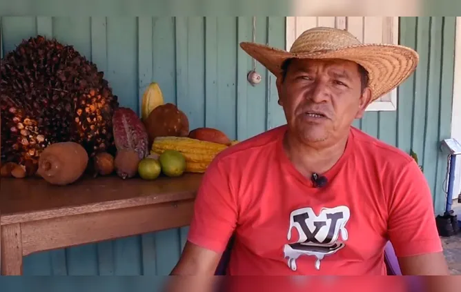 Conheça o sistema de produção Agrofloresta do Pará