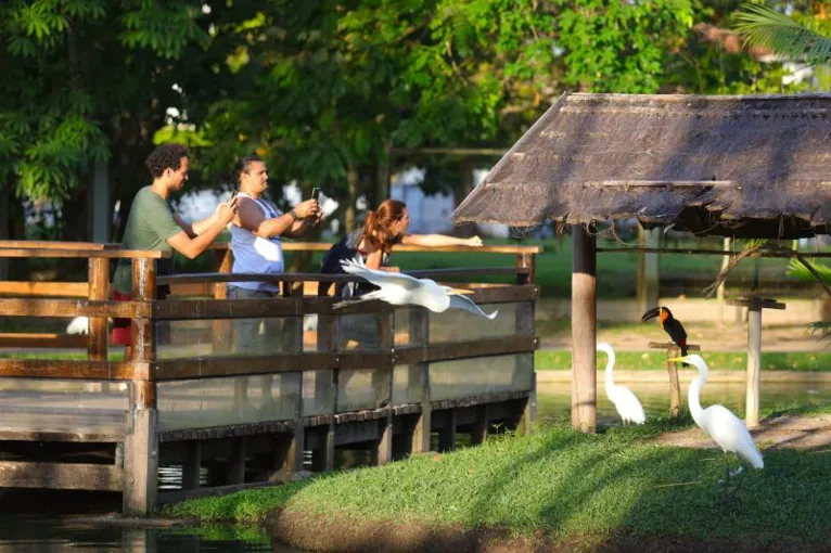 Todos os domingos do mês, as crianças embarcam na diversão e ainda aprendem a cuidar do meio ambiente.