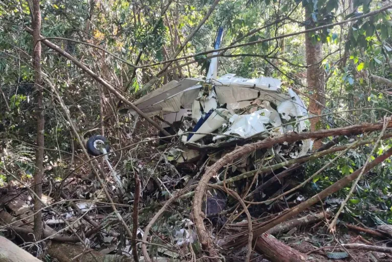 Destroços de avião foram encontrados em mata na divisa de Rondônia com Mato Grosso