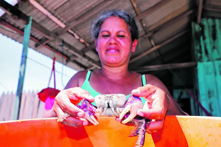 Ângela Maria vende caranguejo em Ajurutuea