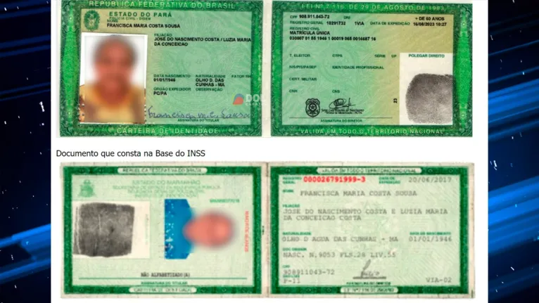 Documentos falsos usados pela dupla