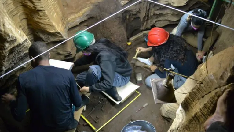 Paraenses descobrem fóssil de "preguiça gigante" em Aveiro