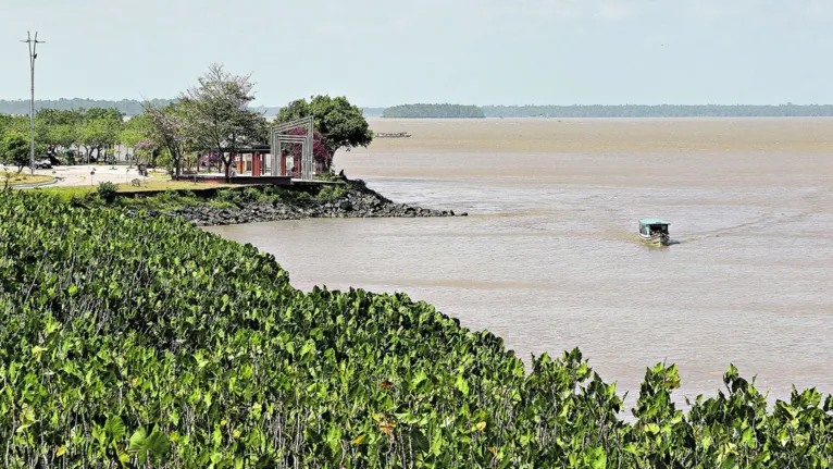 Dia da Amazônia: Belém guarda partes da região viva
