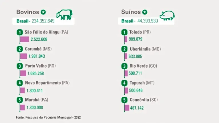 São Félix do Xingu segue líder em rebanho bovino no Brasil