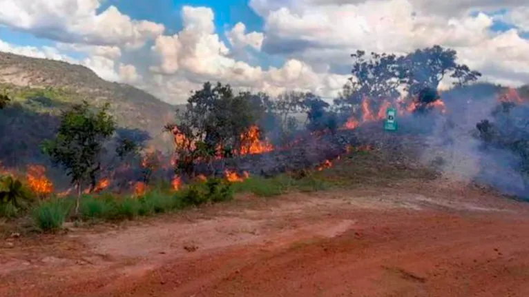 O trabalho de prevenção e combate a incêndios nas duas UCs começou em maio