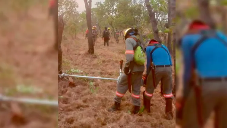 A operação de combate a incêndios florestais no Parque mobiliza diversos brigadistas