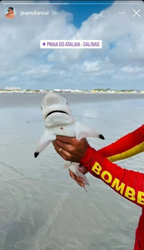Bombeiro captura filhote de tubarão em praia de Salinas