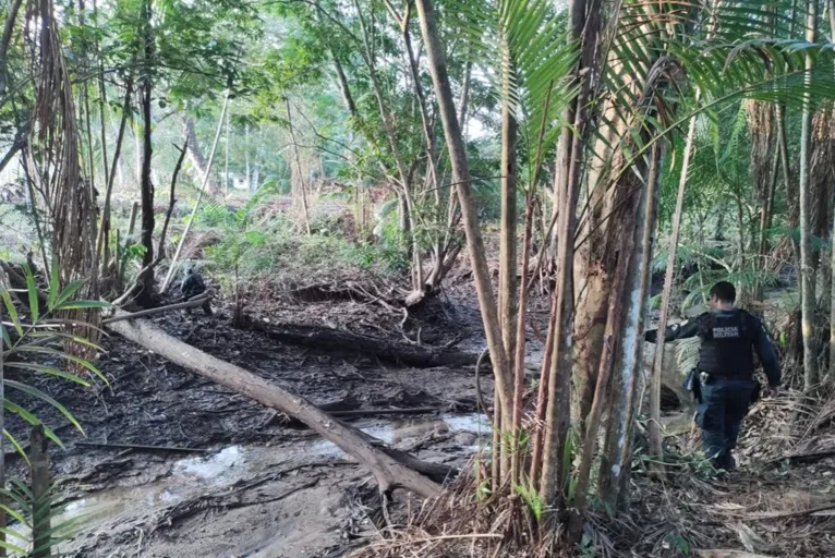 Área de manguezal é de difícil acesso