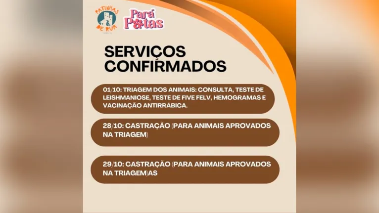 Serviços que serão oferecidos