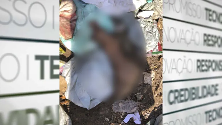 Perna Humana encontrada em Cametá