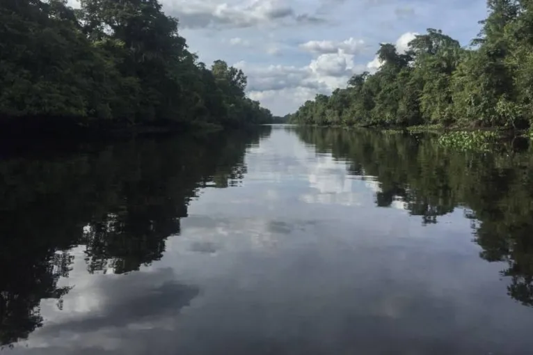 Rios do Pará têm grande potencial para a pesca esportiva