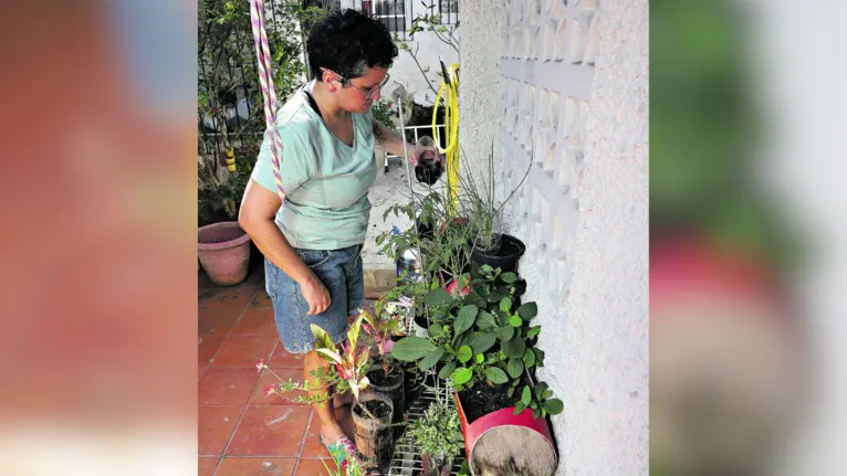 Que tal deixar sua casa mais sustentável? Veja como!