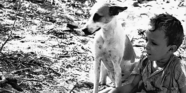 A cachorrinha Baleia é personagem central em “Vidas Secas”, de Graciliano Ramos, que ganhou versão para o cinema no clássico de Nelson Pereira dos Santos.