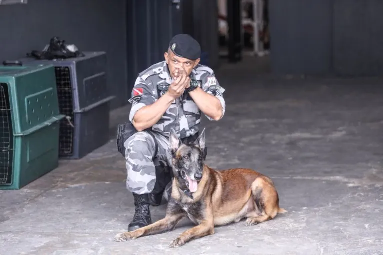 Estado investe em animais de raça na segurança pública