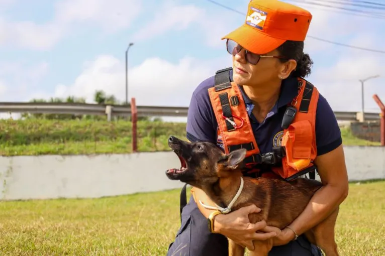 Estado investe em animais de raça na segurança pública