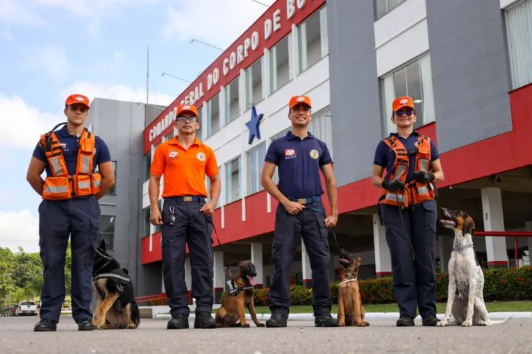 Estado investe em animais de raça na segurança pública